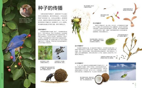 植物百科全书内容简介图片