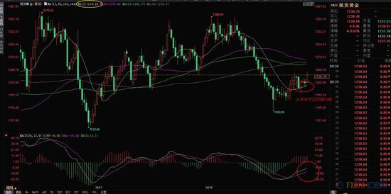 （现货黄金周线图）