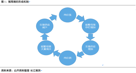 系列报告四：猪周期介绍