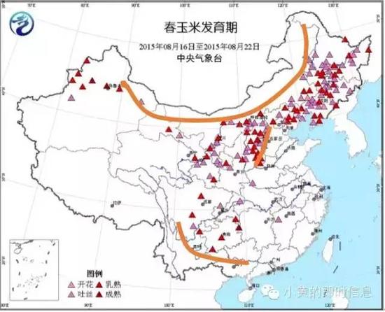 玉米
