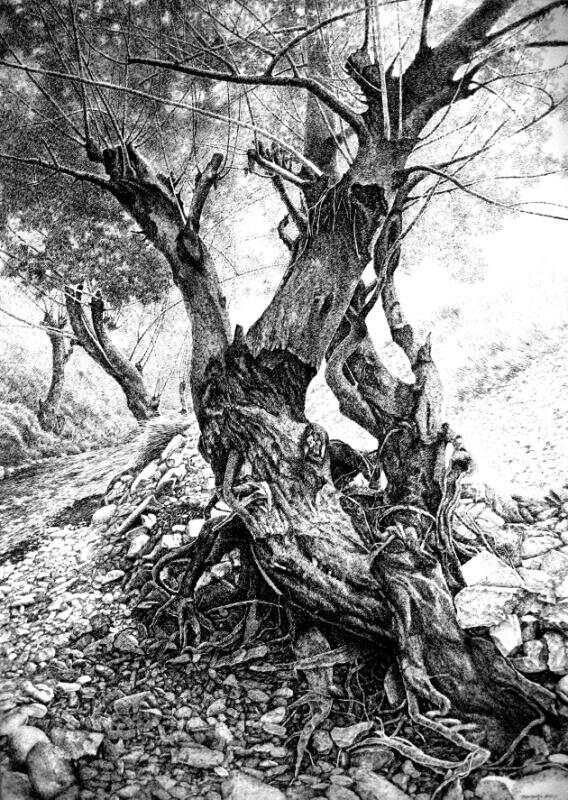 毛才奇钢笔画作品展