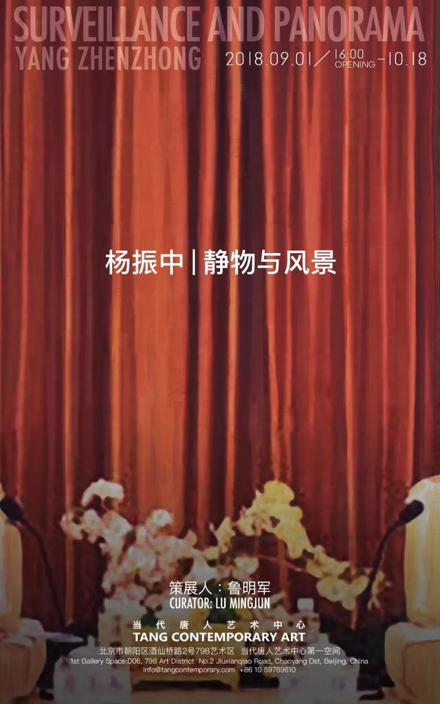 杨振中个展“静物与风景”于北京开幕|杨振中|静物与风景_新浪收藏_新浪网