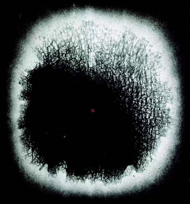 张羽，《灵光22号：漂浮的残圆》，1995年