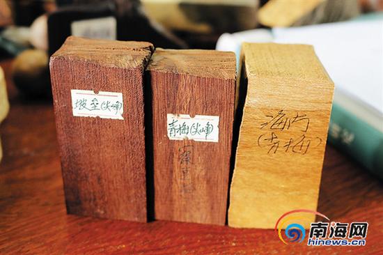 洪少友收藏的青梅格标本本版图片除署名外均由海南日报记者 陈元才摄