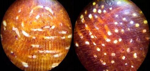 爆金星小叶紫檀好不好？盘过以后好看吗？