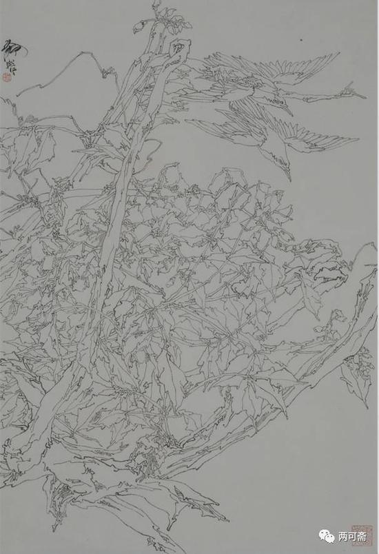 紫藤之二   68x93cm   2003年姚舜熙教授认为,白描写生对于深入观察