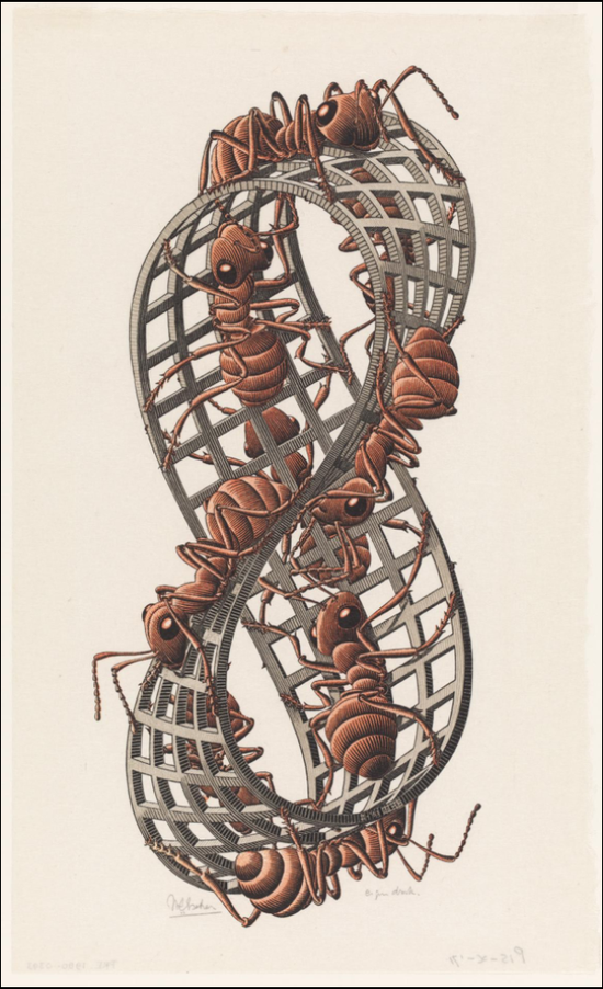 埃舍尔诞辰120周年:孤独艺术家的奇幻世界|埃舍尔|版画_新浪收藏_新浪