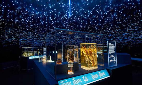 艺术与科学融合的迷人之处 有的在展览之外