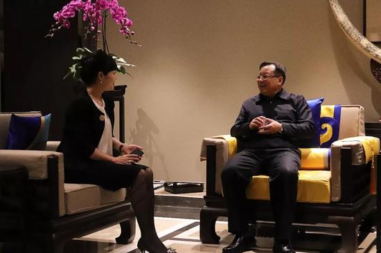 苏宁环球文产集团副总裁马莉莉代表集团董事长向怀化市委市政府良导