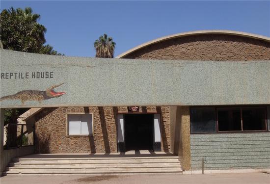 012 ??Solmaz Shahbazi Giza Zoo