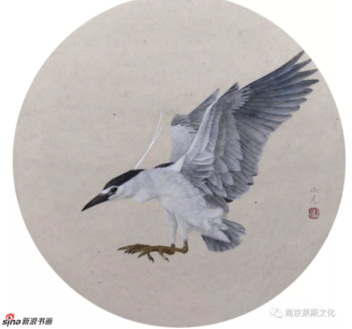 一鹭顺风——夜鹭 41cm×41cm