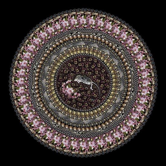 生死曼陀羅 用动物尸体创作拼贴曼陀罗画展现神秘的生死轮回_百科文章_百度百科