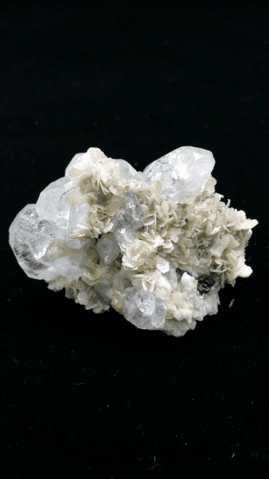 珠宝商聚首成都,璀璨珠宝强势来袭