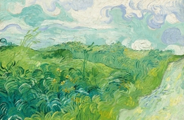 梵高笔下的麦田有多动人