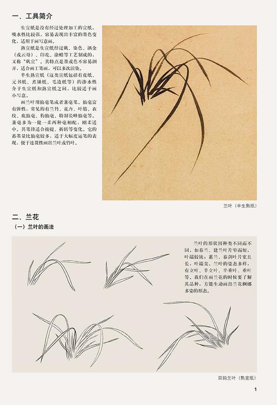 《水墨花卉兰竹画法》在天津杨柳青画社出版发行|水墨花卉兰竹画法|杨柳青_新浪收藏_新浪网