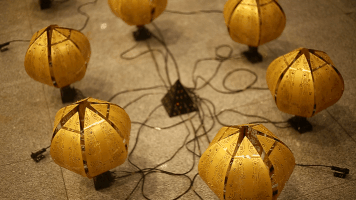 梁助《伊甸园·善恶花》综合材料500x500x50cm指导老师：占研