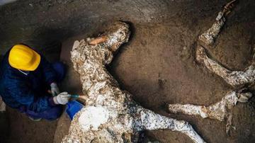 意大利庞贝古城附近出土古代马匹化石