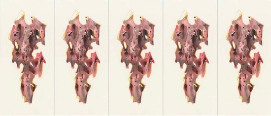 姜竹松/Jiang Zhusong 《哪个真的?》/“Which One is The Truth?”