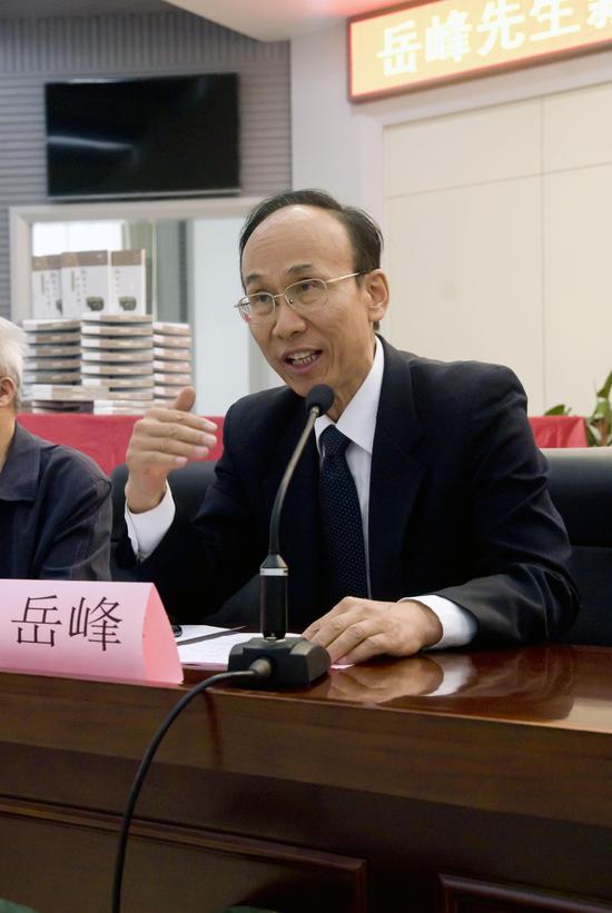 岳峰倾一世才情酬报国之志连载三