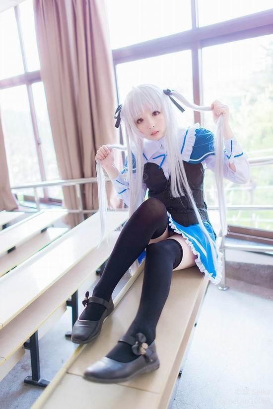 绝对双刃 茱莉·西格图纳 cn:翠_seika蔷薇少女猫娘ll大法 南小鸟fate