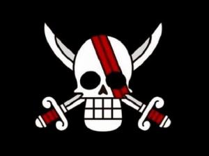 草帽团呢日网友票选最喜欢的海贼旗