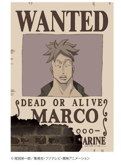 白胡子红发艾斯登场航海王第3弹角色通缉令海报发售