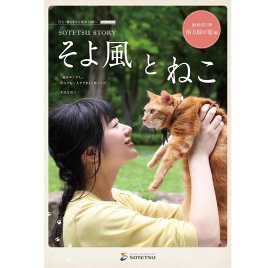 丹下樱为猫配音的sp视频公开