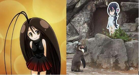 二次元赛高国风拟人ip大势崛起