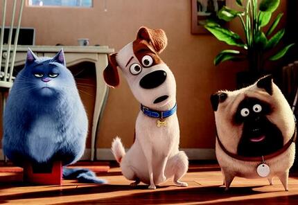 动画电影暑期档半程观察刺猬师爷迎难而上八月竞争和缓