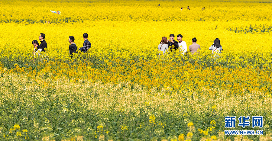 重庆:市民户外踏青 享受春光放飞心情