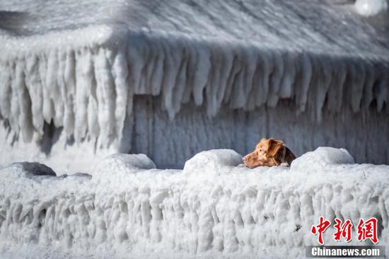 看着都冷丹麦一栋房子被冻成冰坨