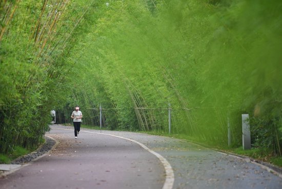 宜宾市江安县长江竹岛,市民在由河中村改造成的绿色生态公园里跑步