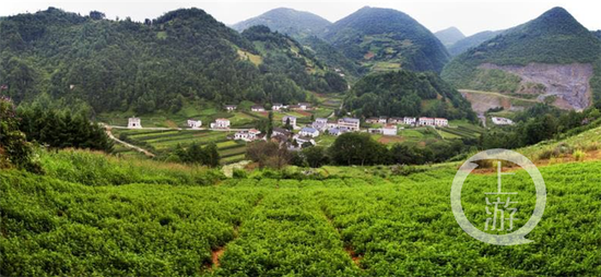 放马场 廖平 摄