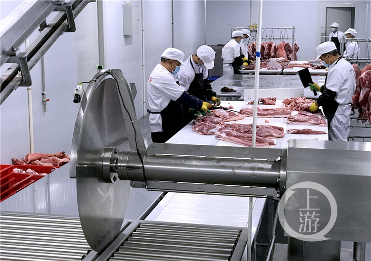 生猪屠宰后只有在经过12-24小时冷却排酸,并在恒温环境下加工包装