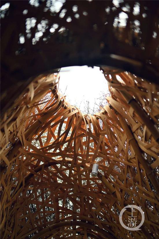 重庆高校团队打造16平方米树洞 获国际建造节一等奖