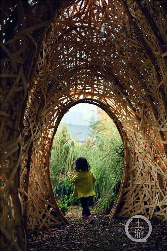 设计灵感以树洞为型 倾听心声