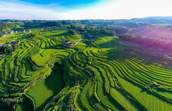 万土地质量地质调查",在1:5万调查基础上,开展了《富硒土壤专题调查》