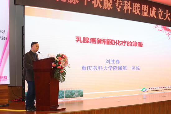 重庆医科大学附属第一医院刘胜春教授以《乳腺癌新辅助化疗策略》为题