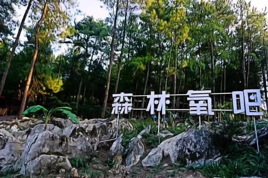 丰都九重天景区已恢复开放为抗疫英雄提供无偿森林康养服务