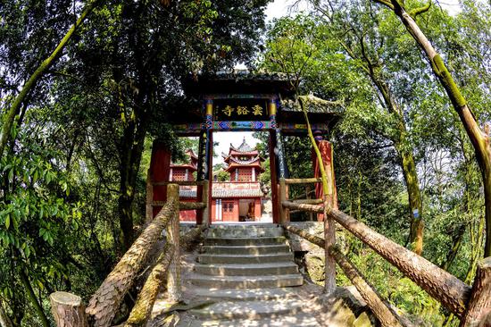 巴南圣灯山镇5分钟书记导风景视频短片上线