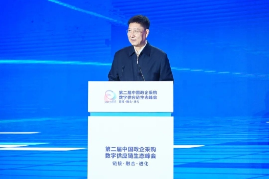 中国物流与采购联合会副会长蔡进