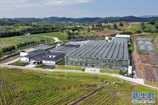 航拍重庆现代农业高科技园区,这里是重庆市农科院科研工作集中展示的平台。新华网发(刘禹德 摄)