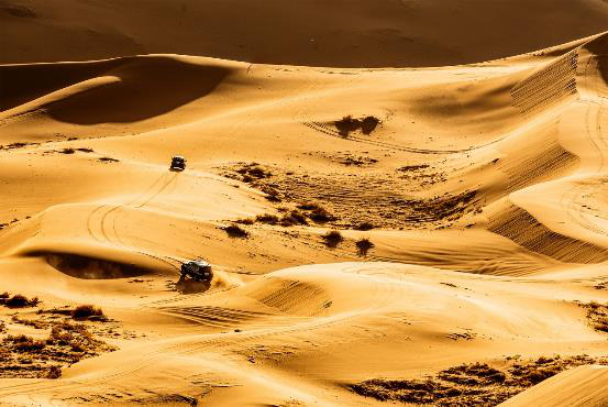 无疆沙场,无畏征途