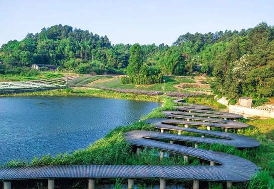 高山森林,景美人少,吸氧洗肺胜地.五一去巴南大来山耍个尽兴