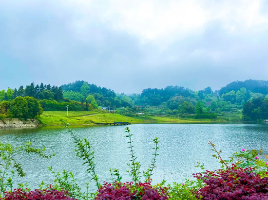 高山森林,景美人少,吸氧洗肺胜地.五一去巴南大来山耍个尽兴