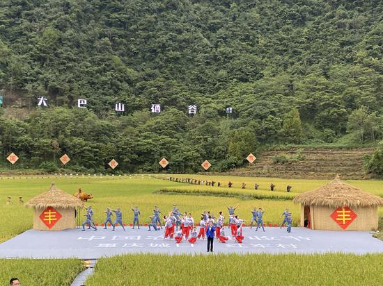 活动舞台搭建在稻田中(摄影:张琛薇)