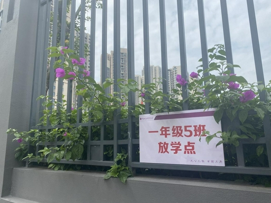 百年南开,育见富力|走进重庆科学城南开小学