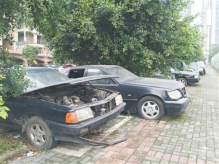 人行道上的临时停车位 遭20多辆僵尸车霸占了