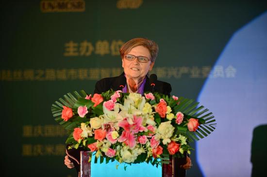 深度报道:维也纳重庆双城文化节 打通一带一路文化交流"任督二脉"