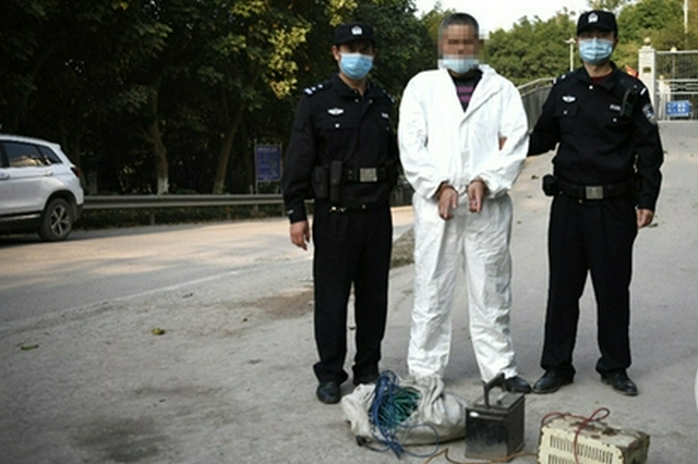 猪圈改鱼池变成中转站 重庆警方打掉全链条非法捕捞团伙 - Vimarsana News